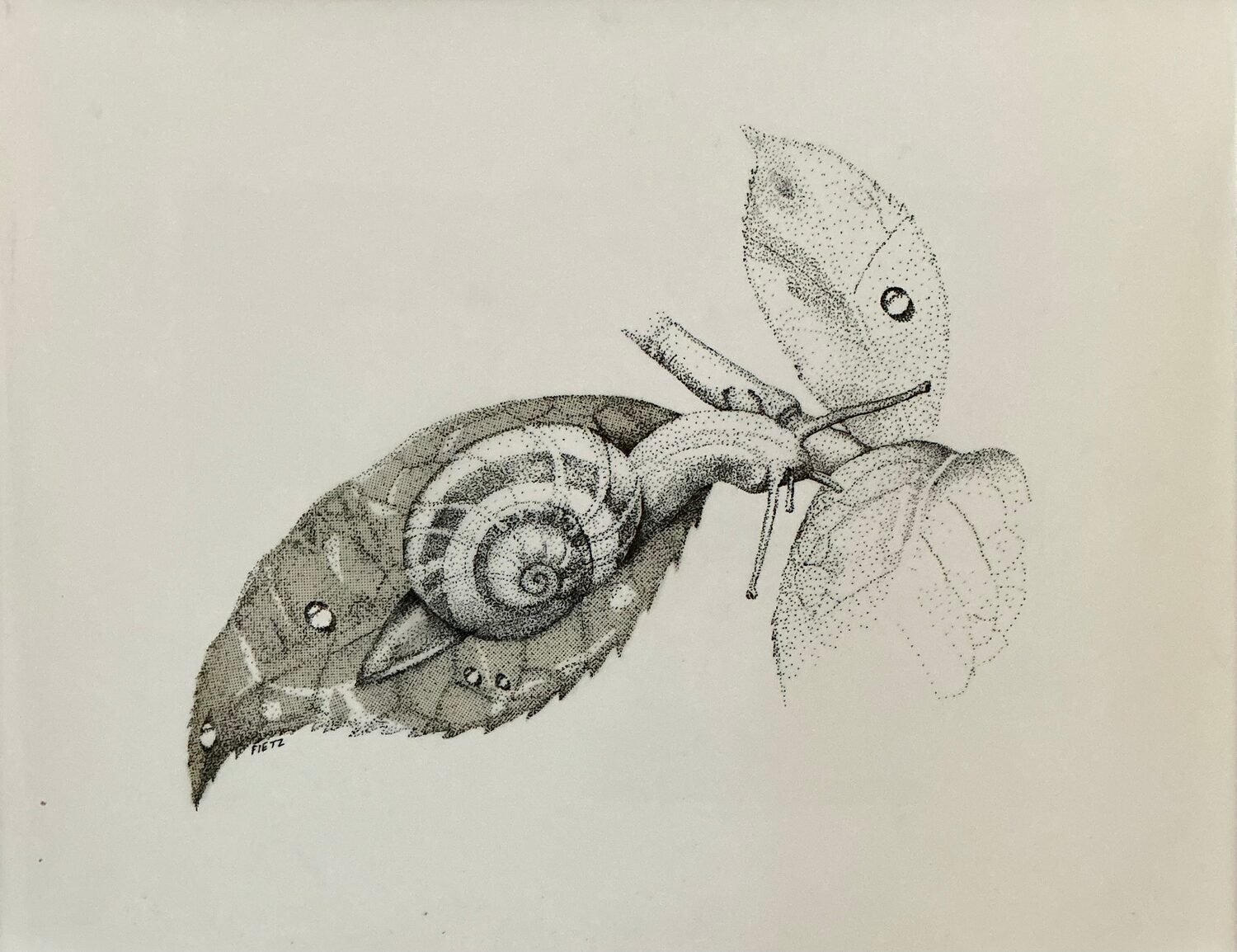 Kathleen Fietz (CA)<br><em>Garden Feast</em>