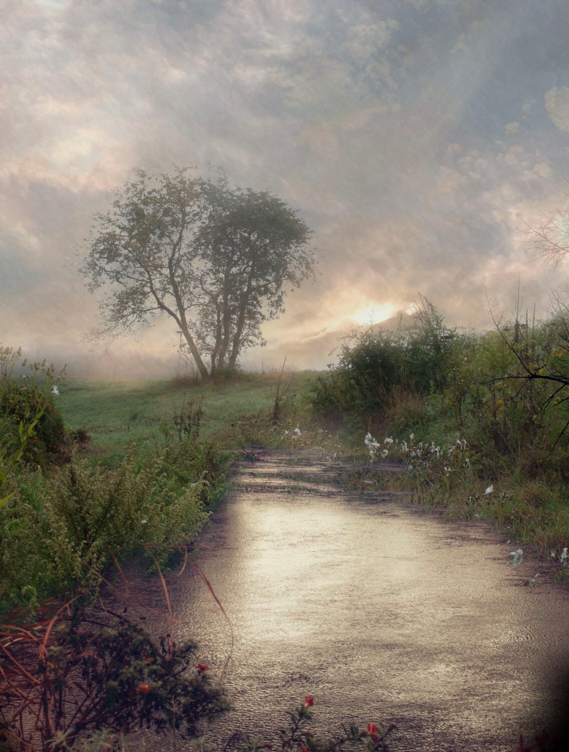 Kristin Long (CT)<br><em>Morning Light</em>