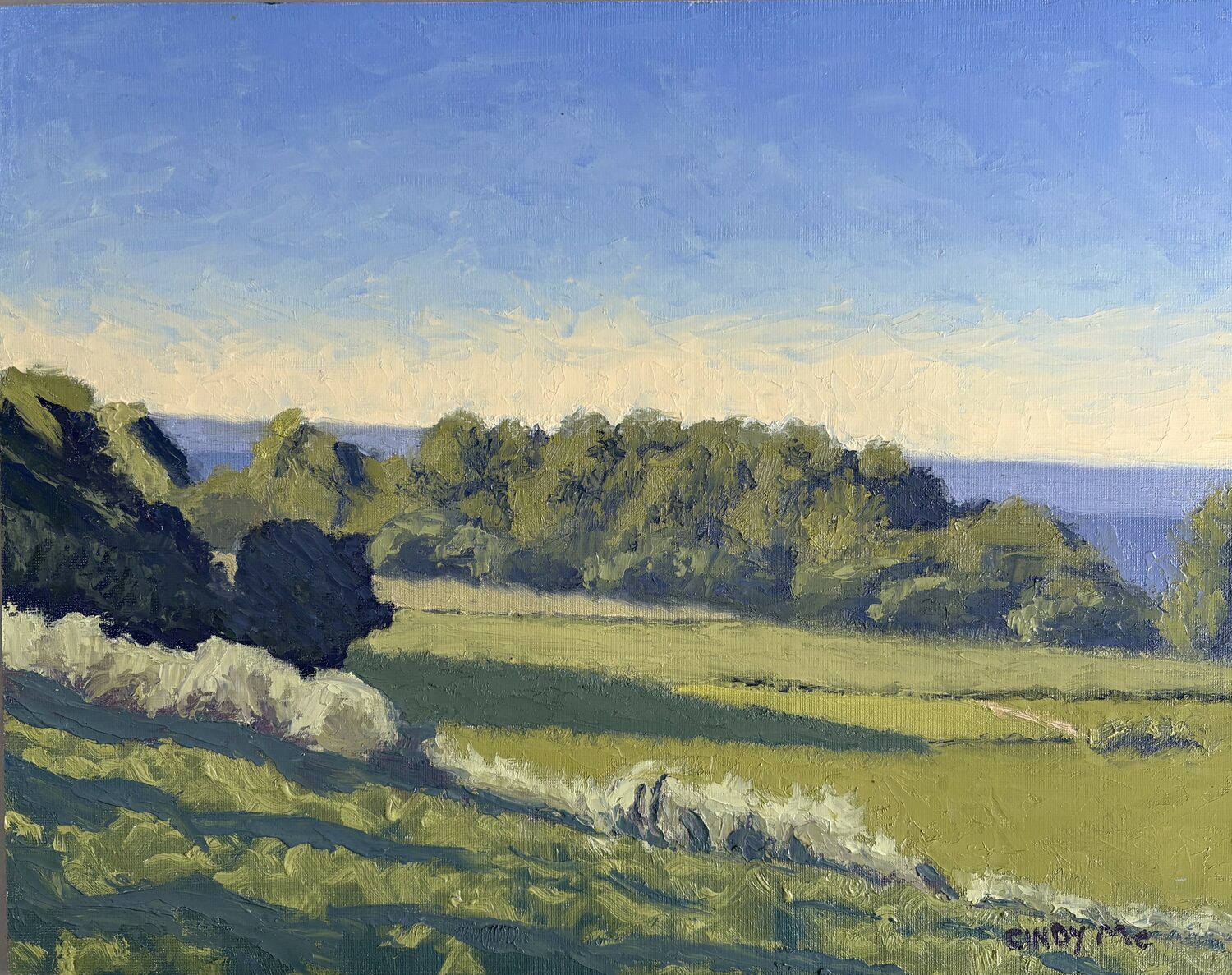 Cindy McComas (MN)<br><em>The Long View, Provence</em>