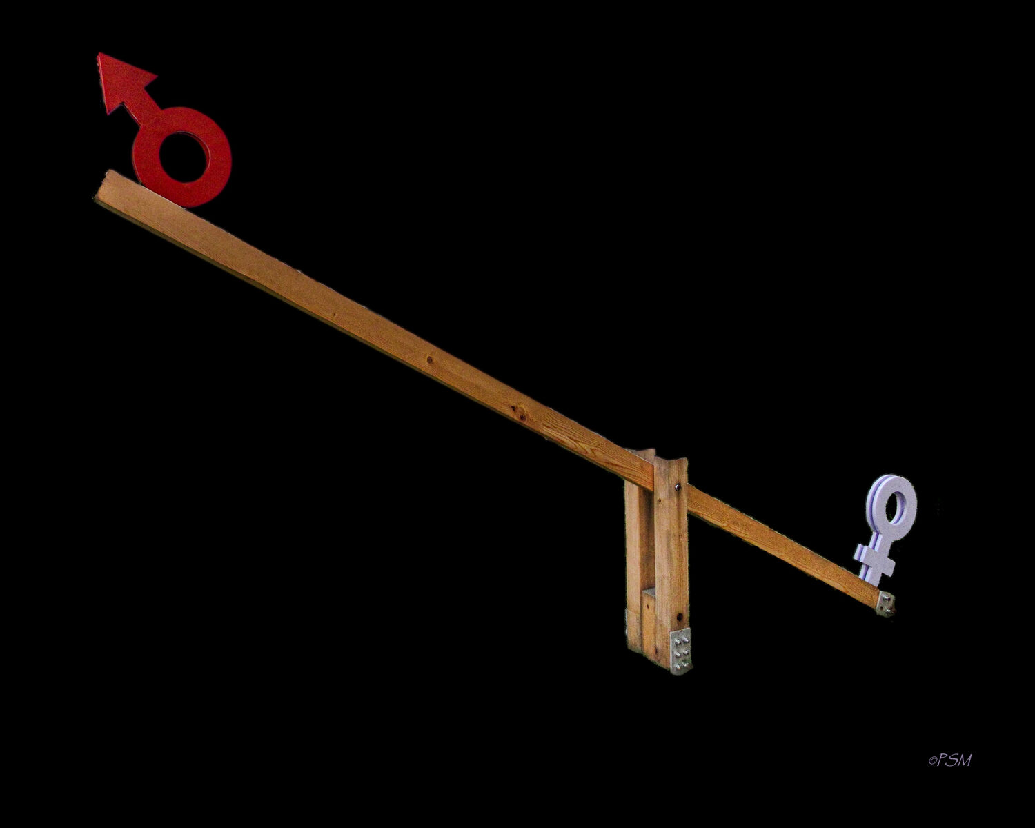 Page S Morahan (PA)<br><em>Seesaw of Gender Inequity</em>