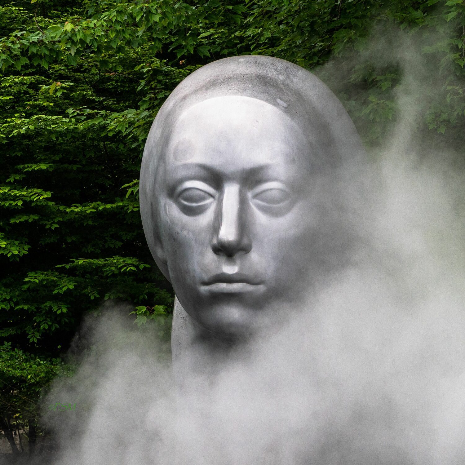 Page S Morahan (PA)<br><em>Woman in the Mist - Leucantha Emerging</em>