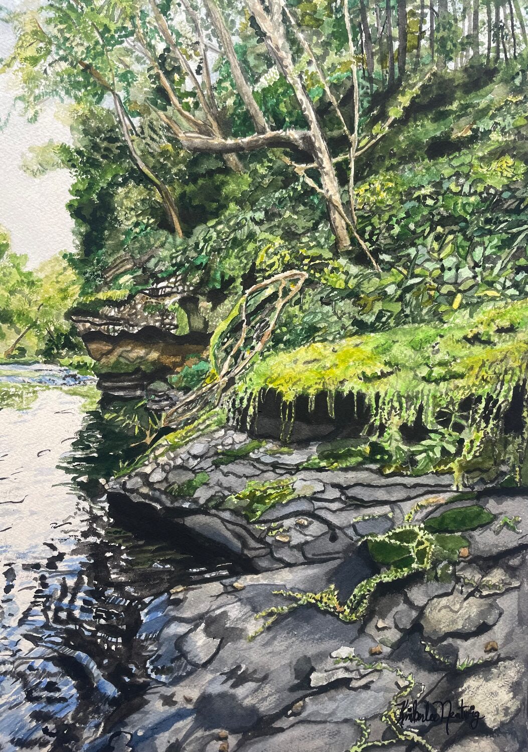 Kimberlee Nentwig (PA)<br><em>The Tohickon Creek</em>