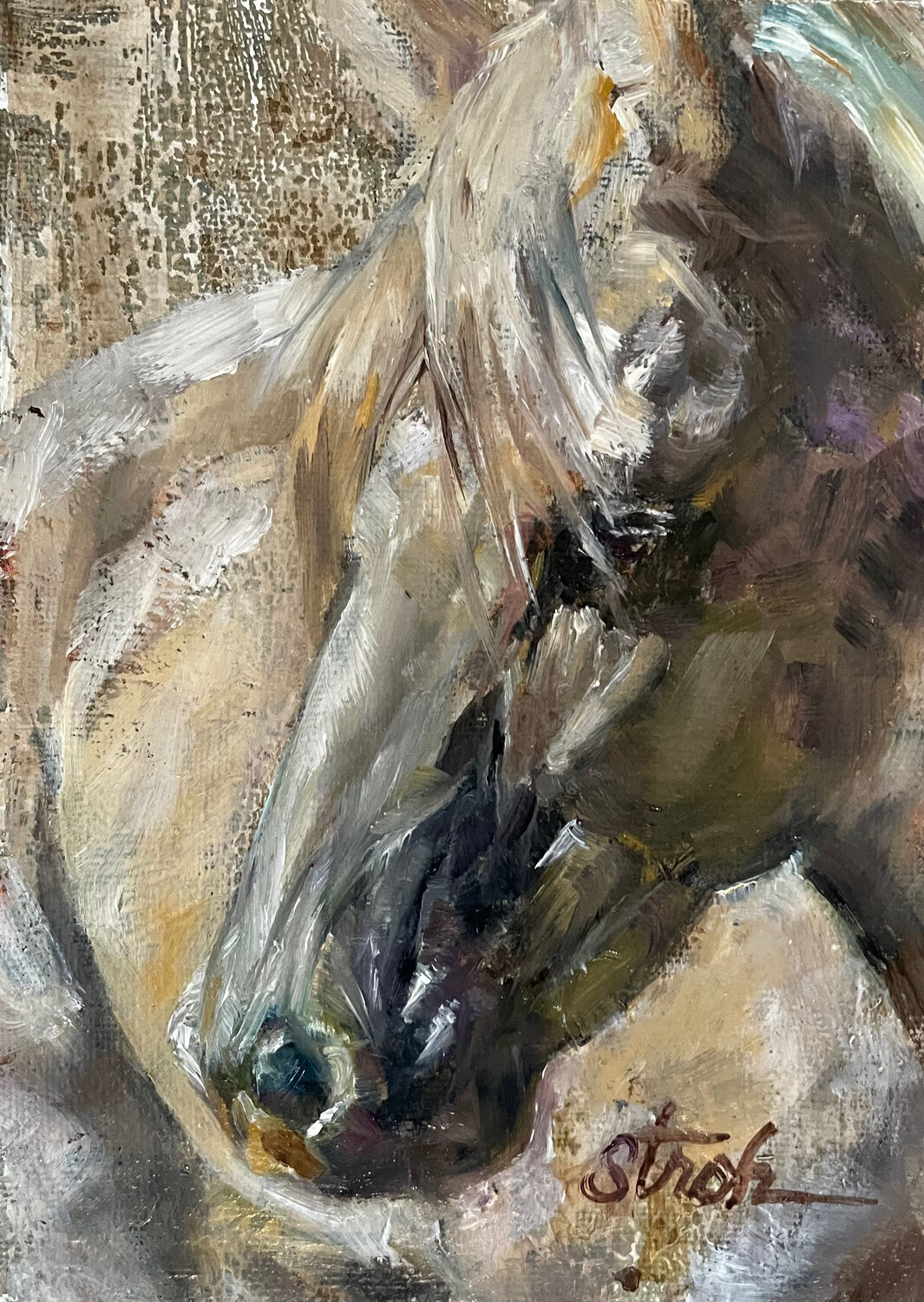 Carla Stroh (WY)<br><em>Lady May</em>