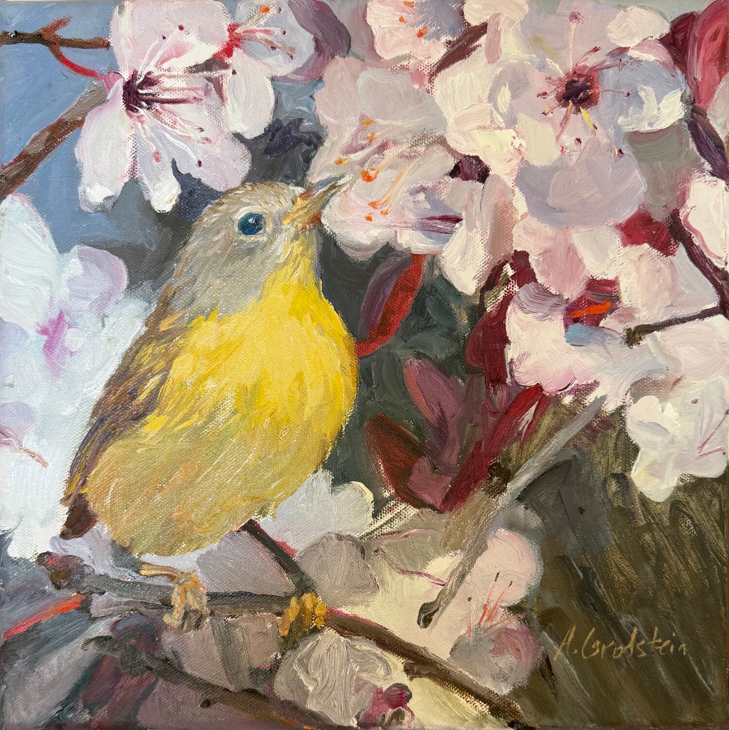 Adele Grodstein (NJ)<br><em>Nashville Warbler</em>