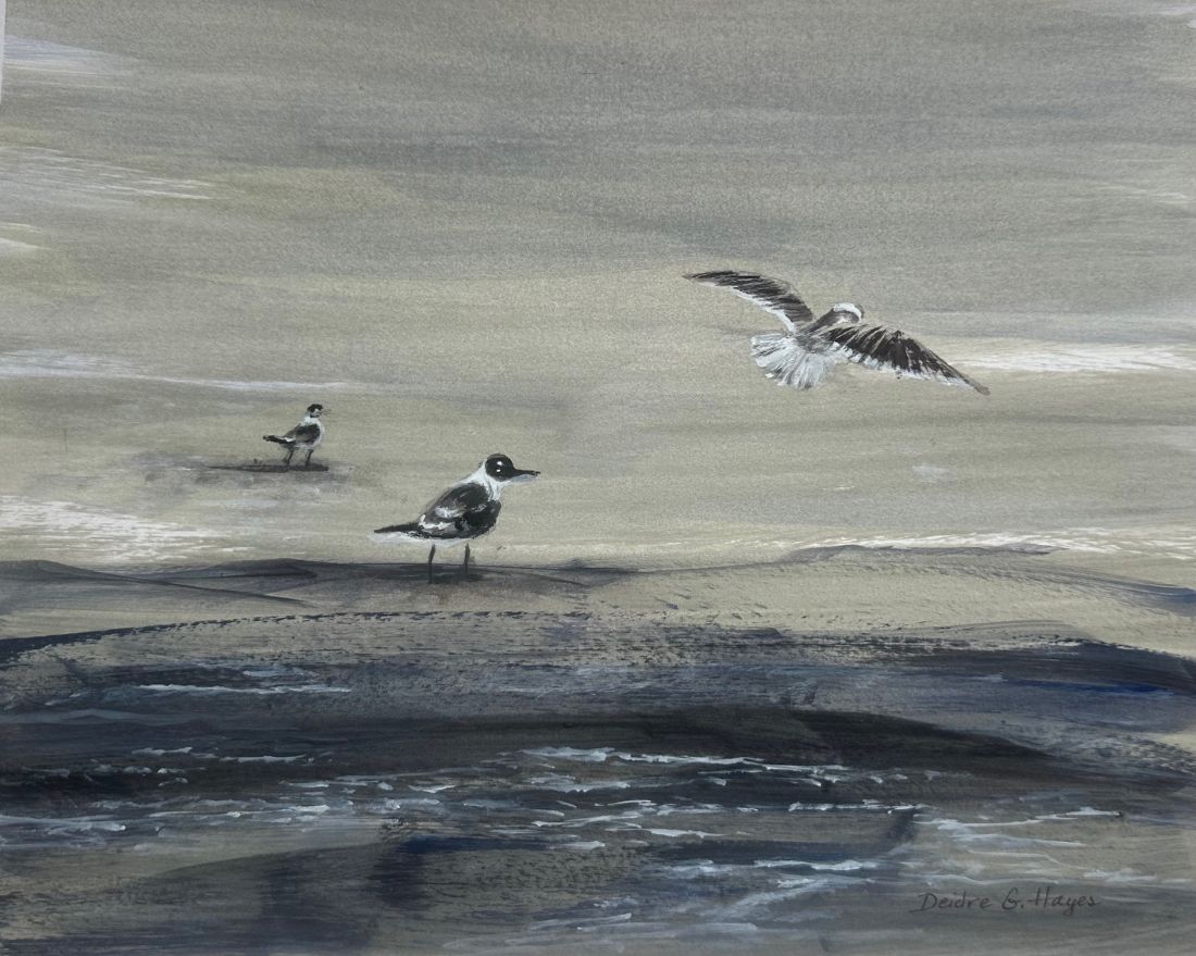 Deidre G. Hayes (SC)<br><em>Edisto Seagulls</em>