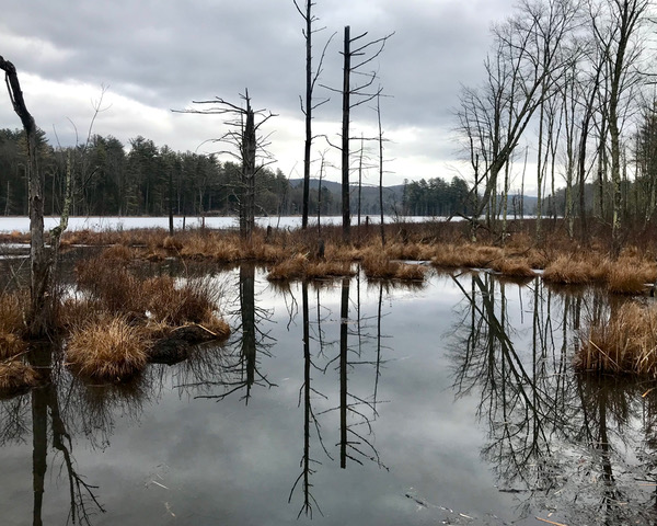 Susan Phillips (NY)<br><em>Yankee Pond</em>